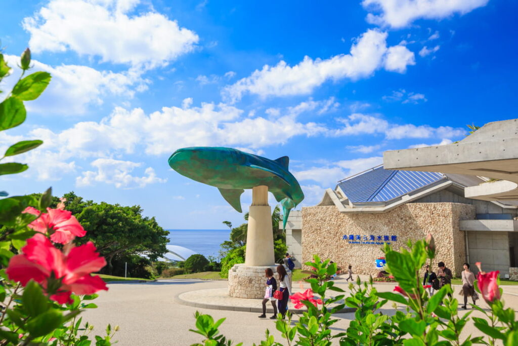 美ら海水族館の入り口の写真